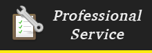 Professional Service